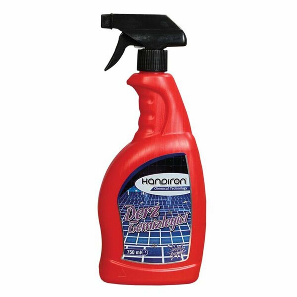Handiron Derz Temizleyici Sprey 750 ml